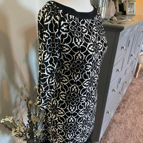 Brand new white house blackmarket dress - Picture 2 of 4